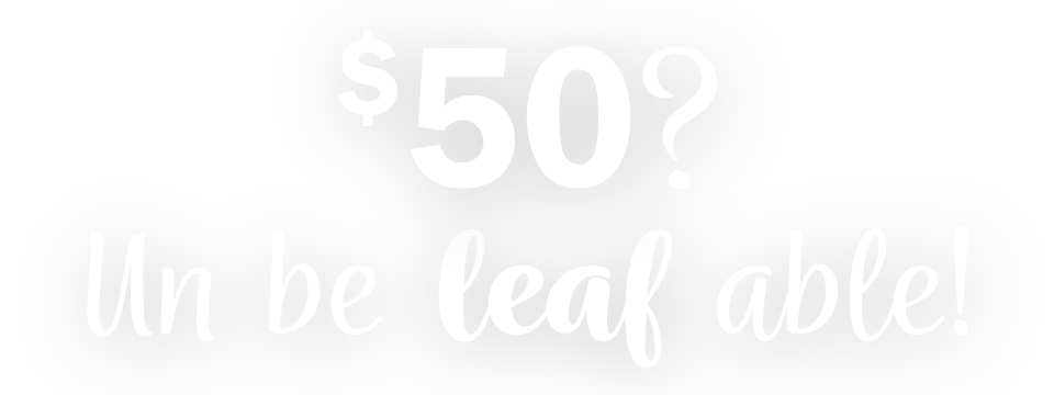 $50? Un-be-leaf-able